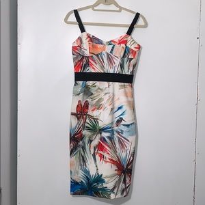 Milly Parrot and Desert print bustier dress